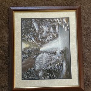 Tranquil Winter wolf Scene Framed Art by unknown